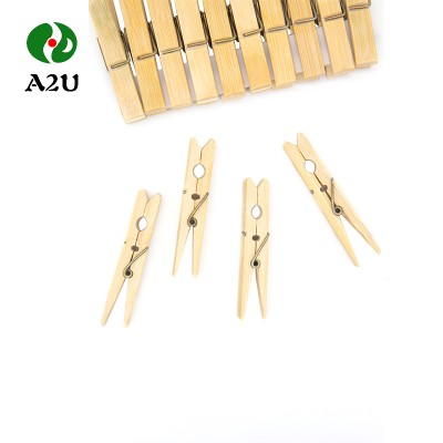 Special Custom Large Wooden Clothespins