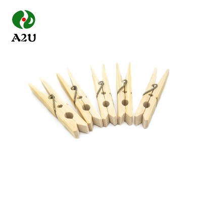 Superior Quality Mini Clothes Pin Wooden