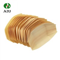 Disposable Natural Wood Color Wooden Dinner Plates Sushi Boat Serving Tray